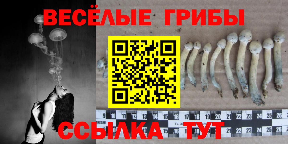Новотроицк  Псилоцибиновые грибы GOLDEN TEACHER  хочу   Вход с VPN 