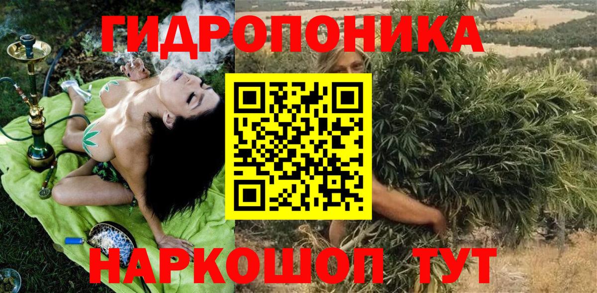 Каннабис Amnesia  Бошки марихуана семена  Бошки марихуана планчик  Вход с VPN  Новотроицк 
